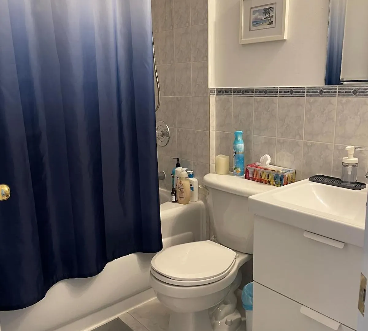 Modern Ossington 1 Bedroom Apartment Toronto