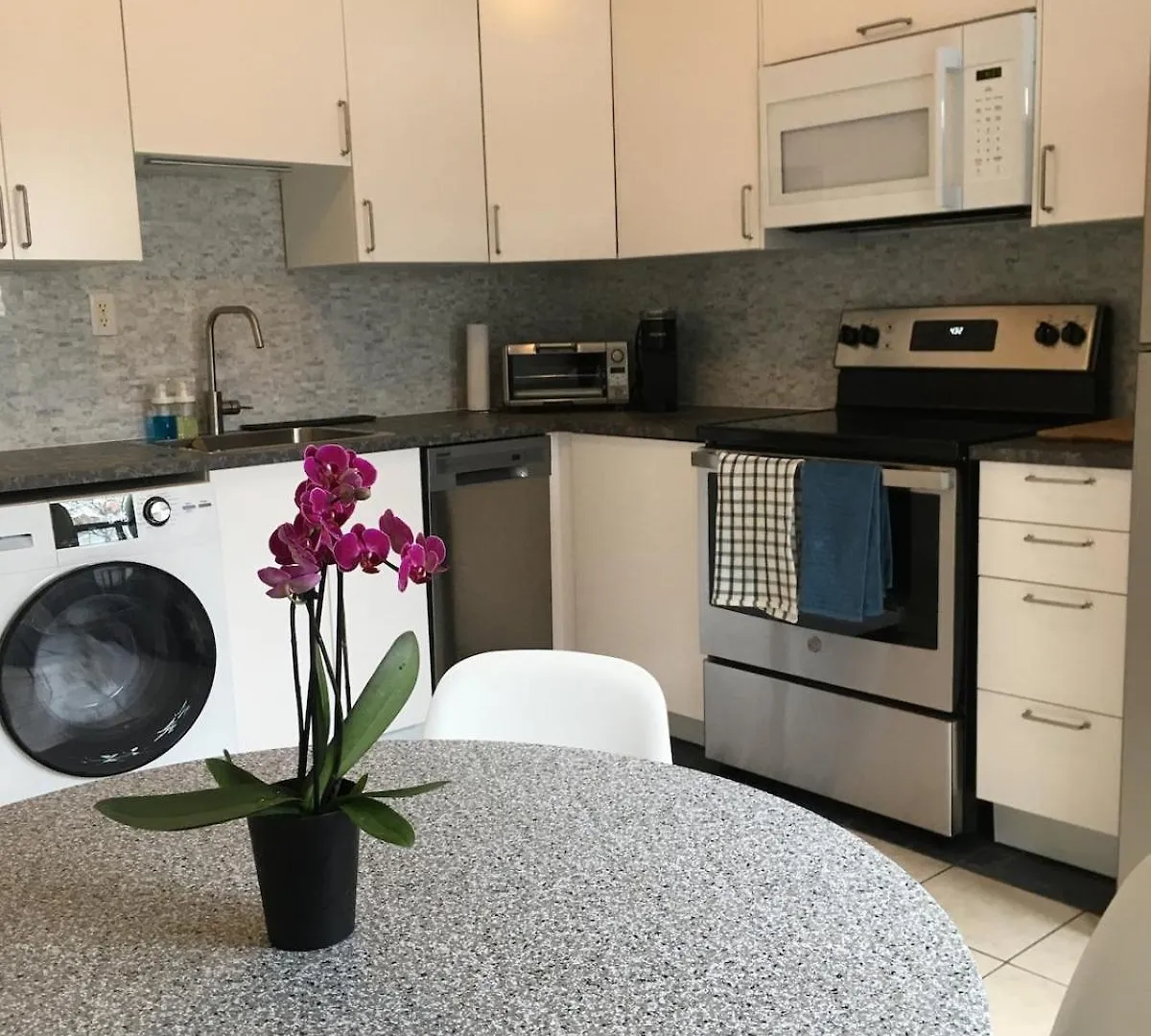 Modern Ossington 1 Bedroom Apartment Toronto